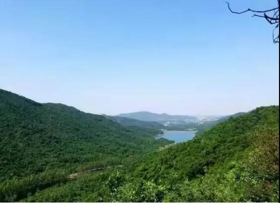 筑牢&ldquo;防火墻&rdquo; 守護生態屏障&mdash;&mdash;中山啟用森林智能哨衛系統
